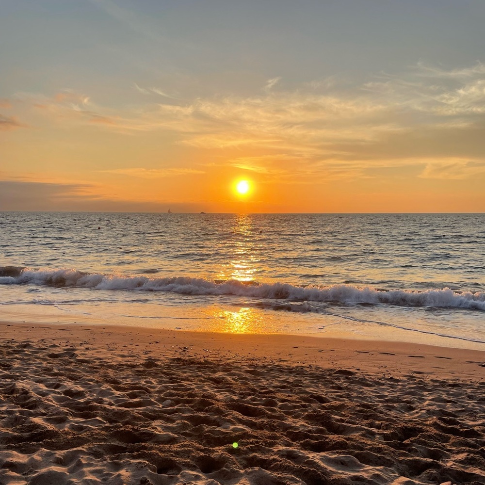 Meet your Posher, Jessie